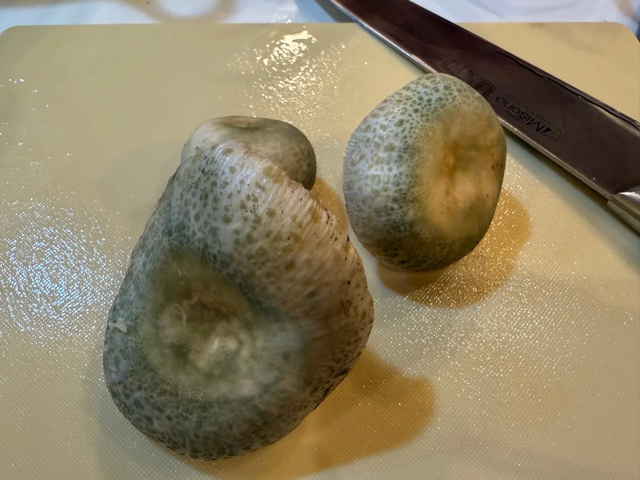 調理前にまな板へ置いたアイタケ